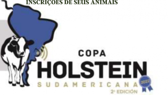 Participe da 2ª Copa Sul-Americana de Holandês